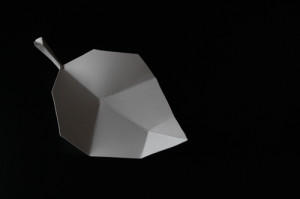 paperleaf3
