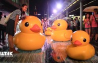 Rubber Duck Project in Hong Kong