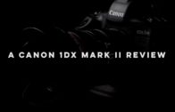 Canon 1Dx Markii review