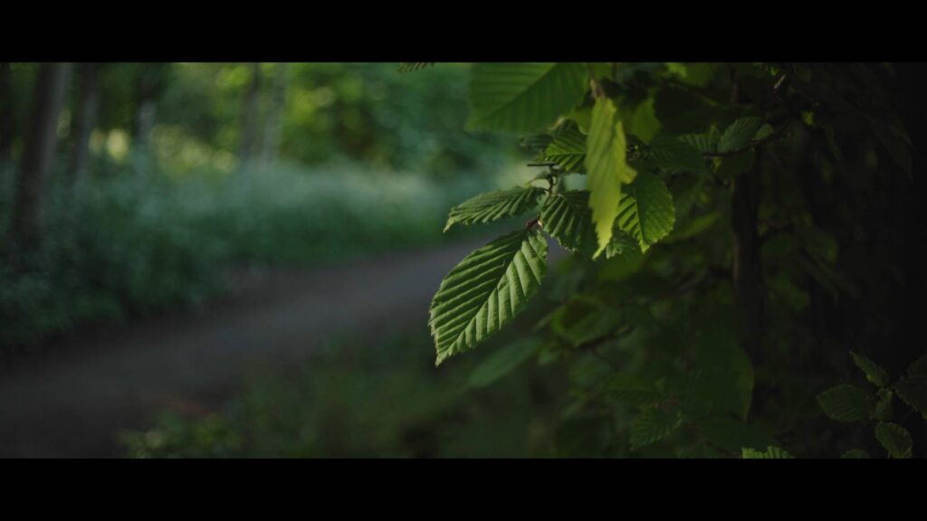 mir 1b 37mm f2.8 scope