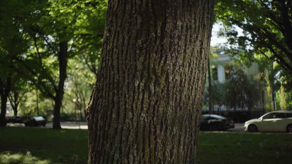 mir 1b 37mm f2.8 3d pop