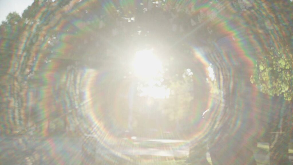 mir 1b 37mm f2.8 lensflare