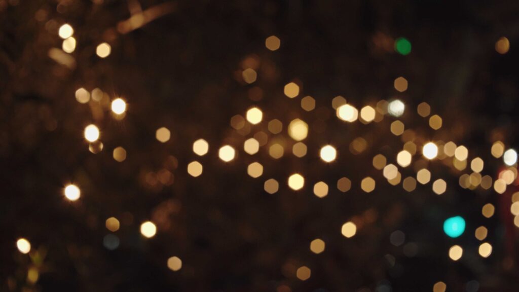 Pentacon 29mm f2.8  bokeh