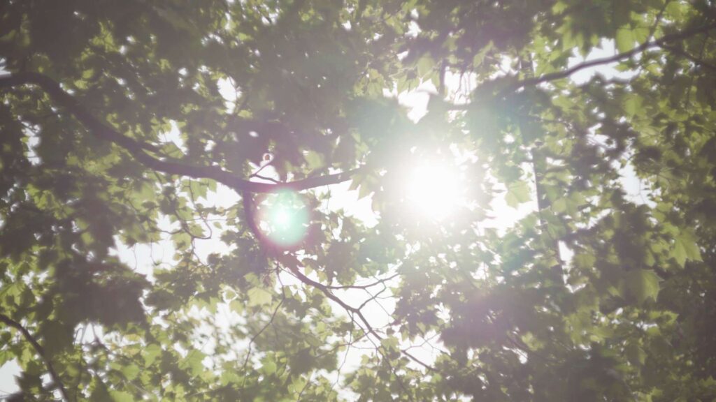 TTArtisan 75mm f1.5 Lensflare