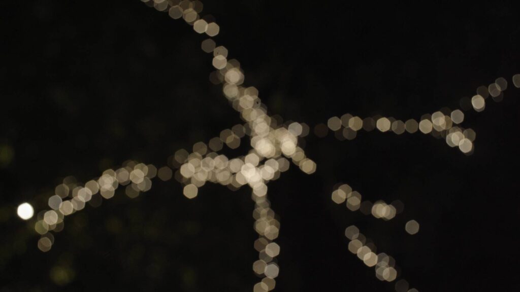 Panagor 21mm f4 lens aka Vivitar 20mm f3.8