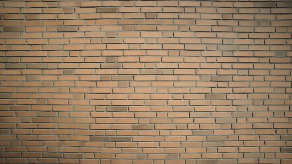 Panagor 21mm f4 lens aka Vivitar 20mm f3.8